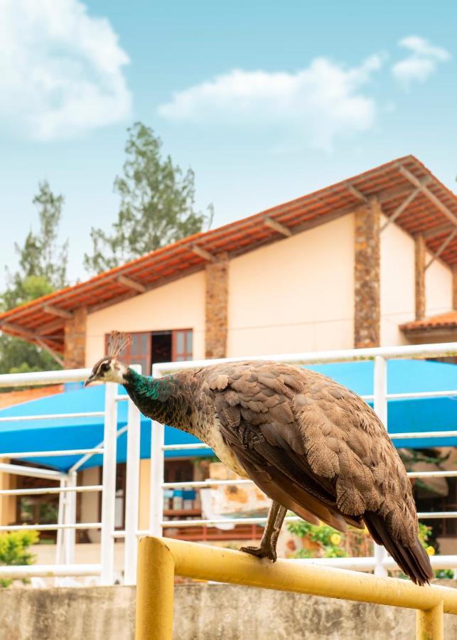 Pousada Calugi Otel Triunfo  Dış mekan fotoğraf